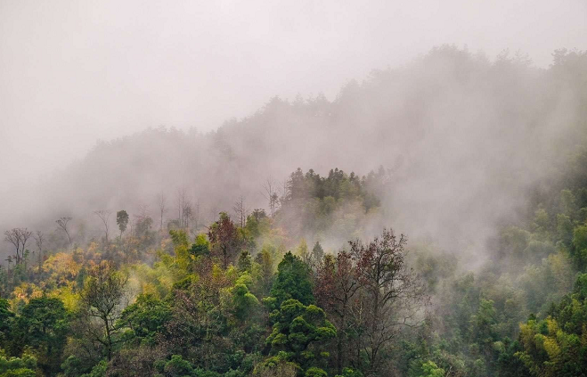 微信截图_20190305092210.png 微信截图_20190305092210.png