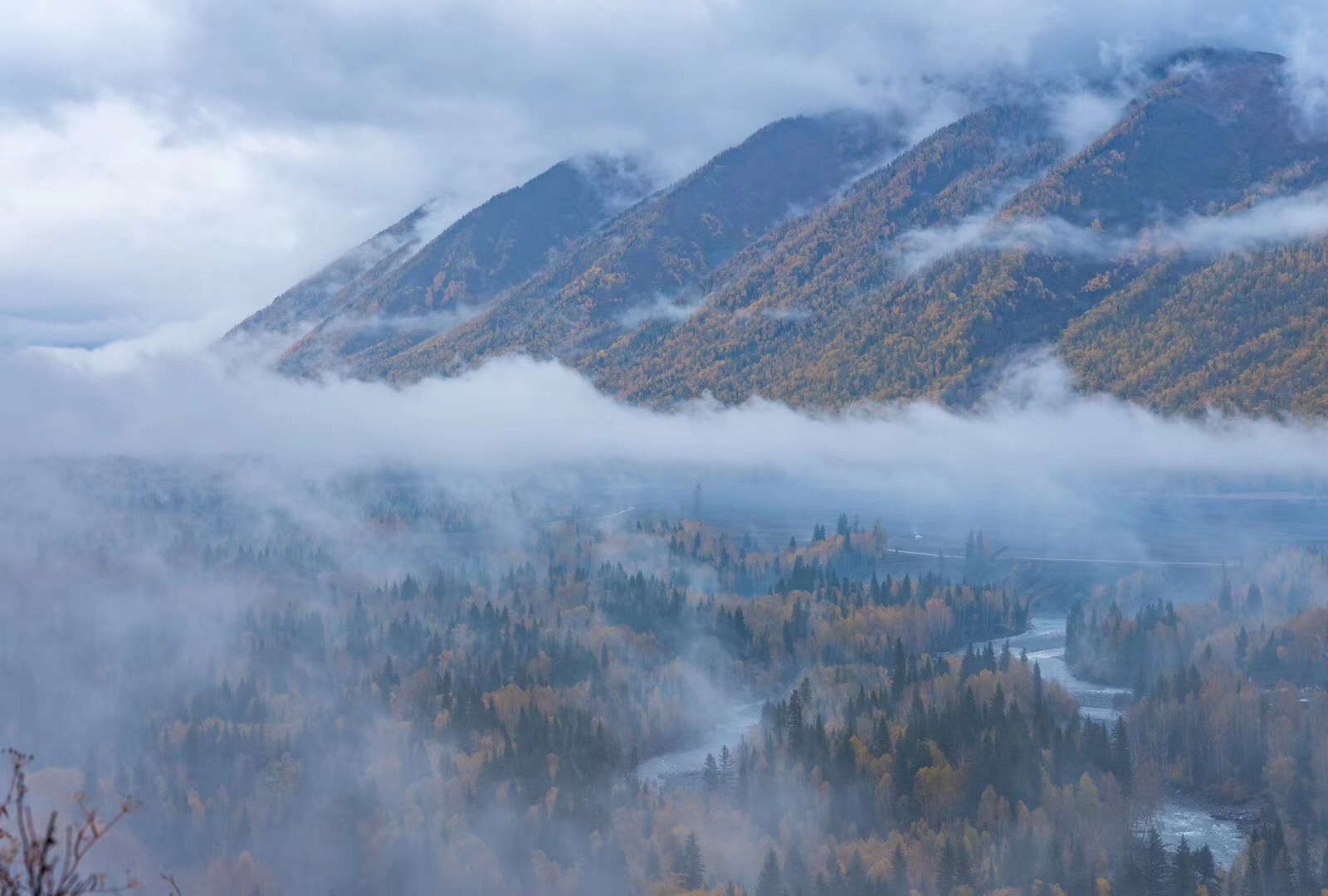 微信图片_20181009161553.jpg 微信图片_20181009161553.jpg