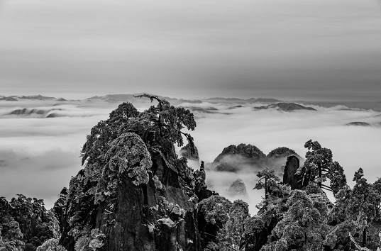 微信截图_20190225162656.png 微信截图_20190225162656.png