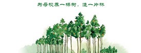 iMBA校友林——为母校养一棵树，造一片林 